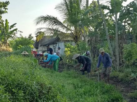 Menggalakkan Pembangunan