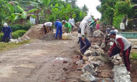 Kegiatan Pembabgunan Tahun 2017